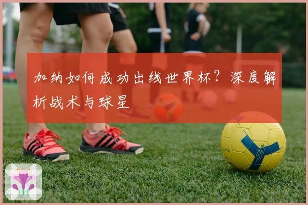 加纳如何成功出线世界杯？深度解析战术与球星
