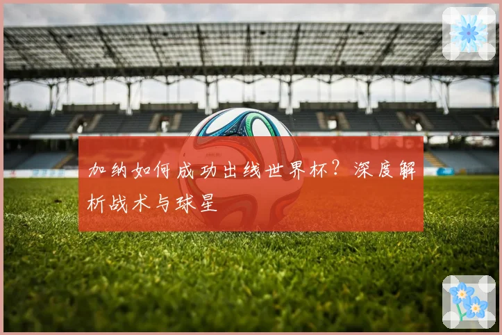 加纳如何成功出线世界杯？深度解析战术与球星