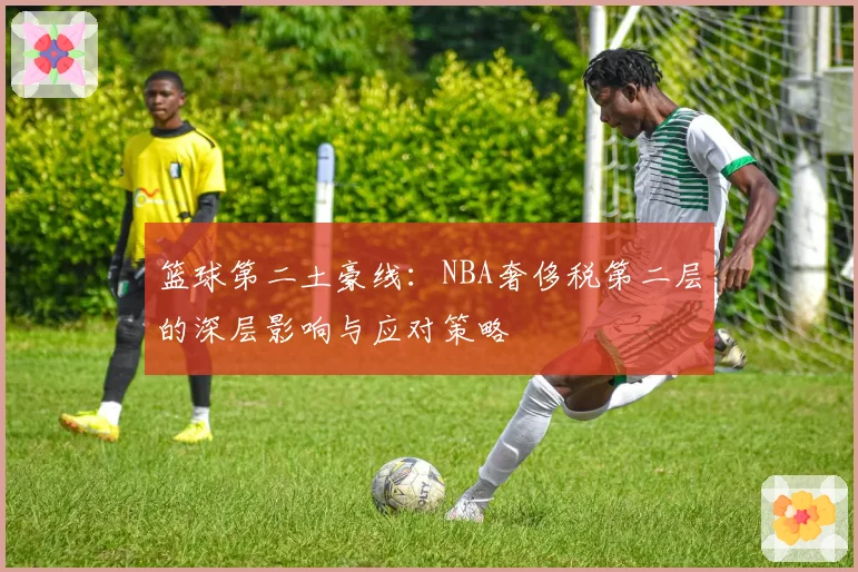 篮球第二土豪线:NBA奢侈税第二层的深层影响与应对策略