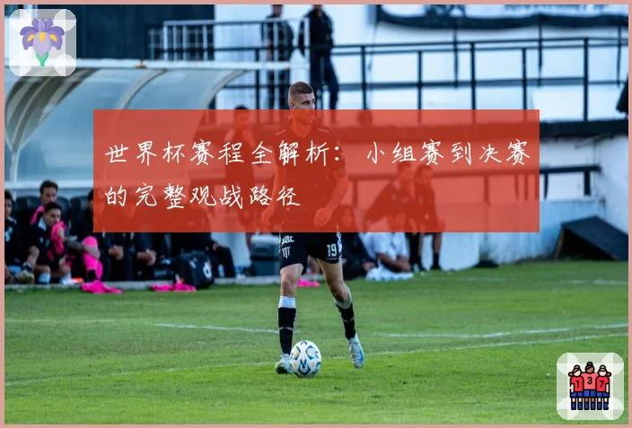 世界杯赛程全解析：小组赛到决赛的完整观战路径