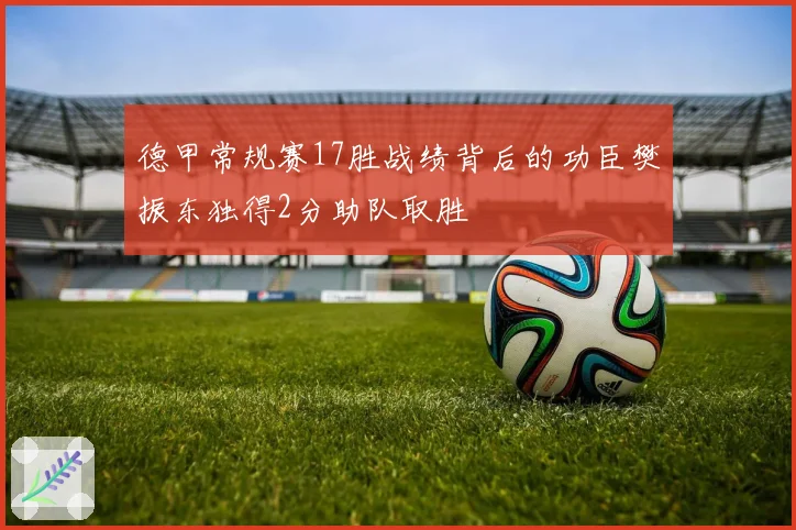 德甲常规赛17胜战绩背后的功臣樊振东独得2分助队取胜